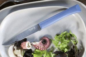 Couteau de table Opinel Bon Appétit + lame 11cm en inox manche en polymère bleu