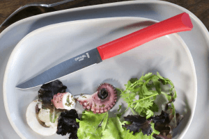 Couteau de table Opinel Bon Appétit + lame 11cm en inox manche en polymère rouge