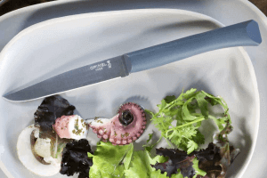 Couteau de table Opinel Bon Appétit + lame 11cm en inox manche en polymère sauge