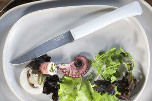 Couteau de table Opinel Bon Appétit + lame 11cm en inox manche en polymère nuage