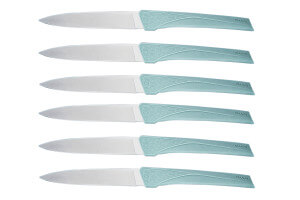 Coffret 6 couteaux Kiana de table lame 10,4cm manche sauge