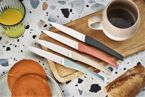 Coffret 6 couteaux Kiana de table lame 10,4cm manche sauge