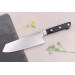 Couteau bunka 17cm japonais Satake ABS