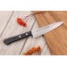 Coffret 2 couteaux japonais Satake Nashiji santoku + office