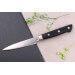 Couteau d'office 9cm japonais Satake ABS