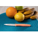 Couteau d'office Arcos Nova 8,5cm manche corail