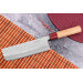 Couteau nakiri japonais artisanal Tsunehisa Aogami Super martelé 16,5cm