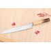 Couteau yanagiba kiritsuke 24cm japonais artisanal Nakamura Kaishin Saku WS2 en chêne
