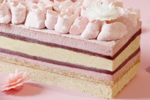 3 Moules Scrapcooking Layer Cake en silicone 25x10cm