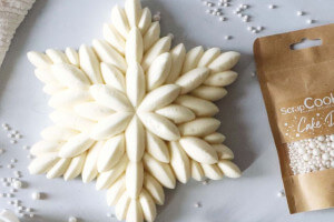 Moule à entremets Céleste 3D Scrapcooking en silicone