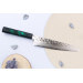 Couteau de chef japonais 21cm Sakai Takayuki Nanairo Green Damas VG10