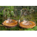 Set de 2 verres à spiritueux Alaskan Maker Topographic Mont Fuji & Denali en verre cristallin