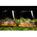 Set de 2 verres à spiritueux Alaskan Maker Topographic Tre Cime & Mont Rosa en verre cristallin