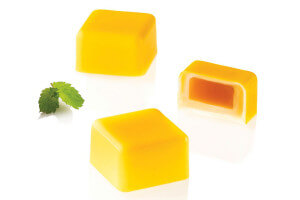 Moule en silicone et tritan professionnel Silikomart 24 pralines avec insert