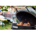 Kit de rôtisserie électrique pour barbecue Big Green Egg Large