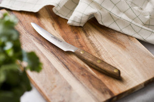 Coffret 4 couteaux à steak Arcos Nordika 10cm