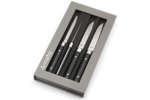 Coffret de 4 couteaux à steak Fusion Amefa