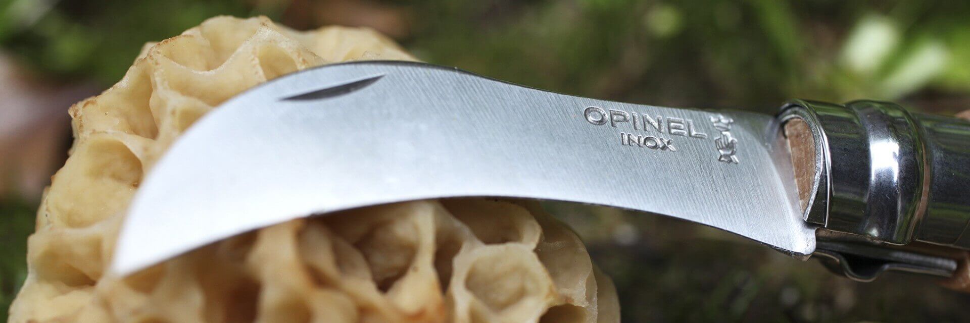 Couteau à champignon avec brosse numero 8 - Opinel