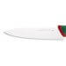 Couteau de chef professionnel SANELLI Premana lame 24cm manche vert