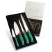Coffret de 4 couteaux professionnels spécial sushi et poisson SANELLI manches verts