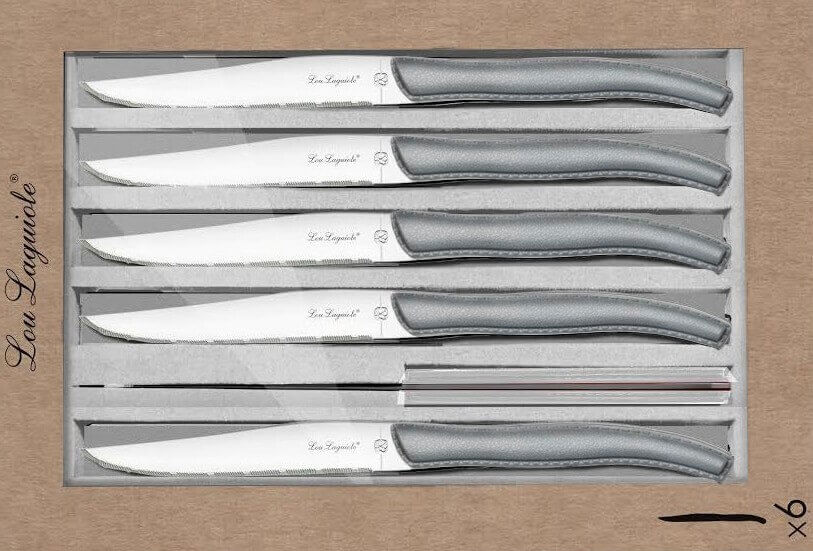 Coffret de couteaux de table Laguiole plein manche en acrylique
