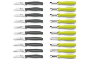 Lot de 10 couteaux à légumes gris + 10 éplucheurs anis Richardson Sup R Cut
