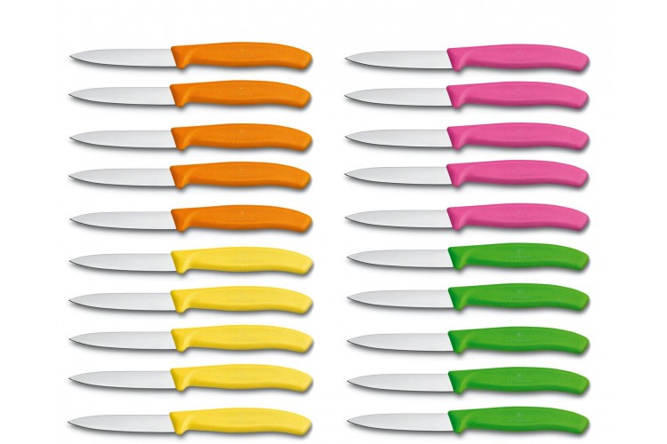 Boite de 20 couteaux d'office Victorinox SwissClassic multicolores lames droites 8cm