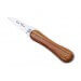 Couteau à huîtres Florinox "Le Bec" bois d'olivier et inox