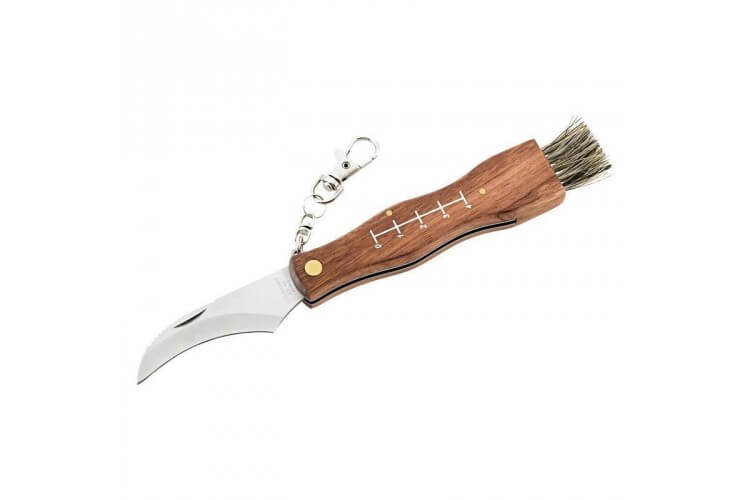 Couteau à champignon Herbertz 251411 inox manche 11cm bois avec brosse