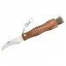 Couteau à champignon Herbertz 251411 inox manche 11cm bois avec brosse