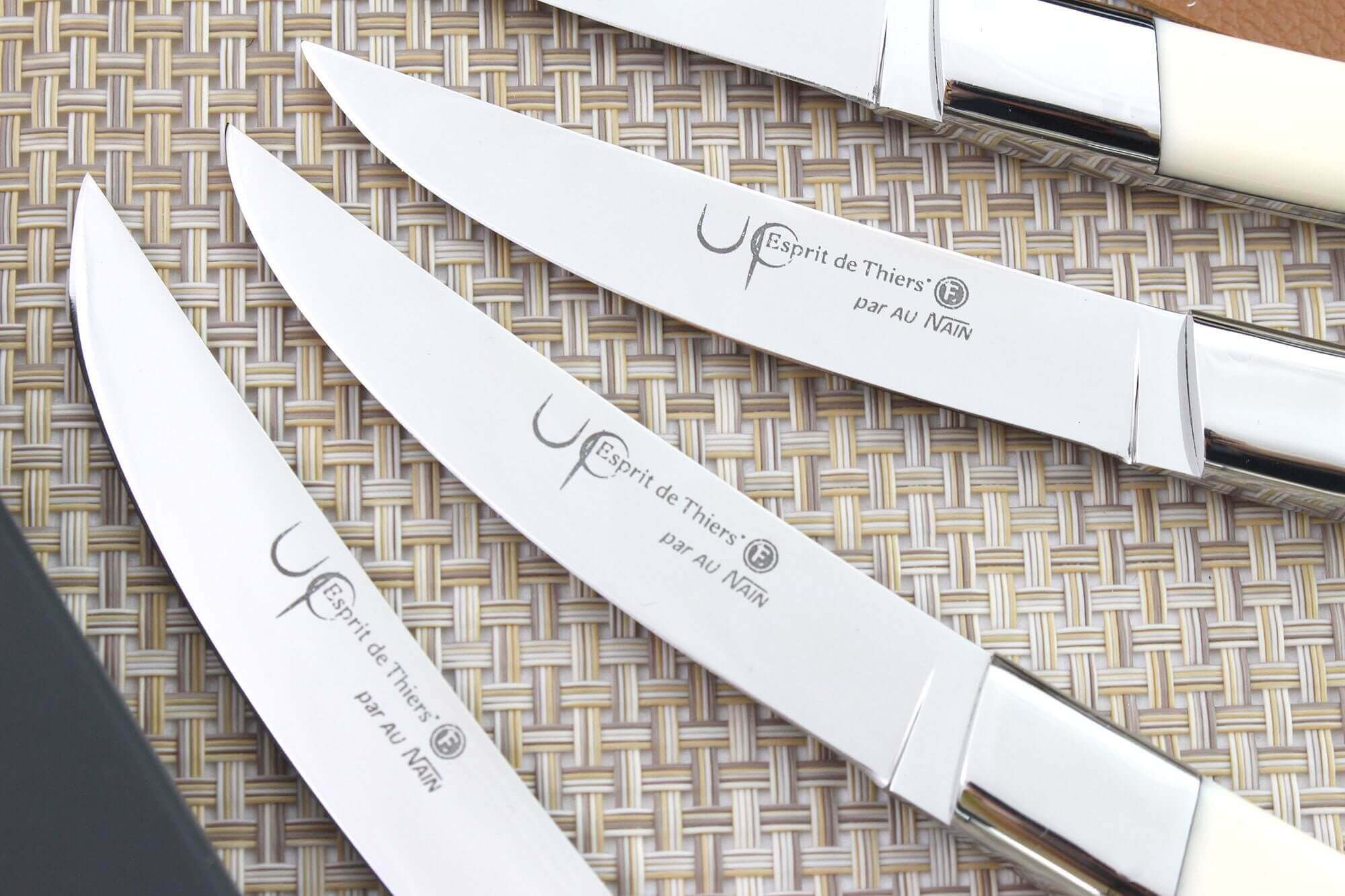 Coffret de 4 couteaux de table 22 cm - Auzier La Boutique Officielle