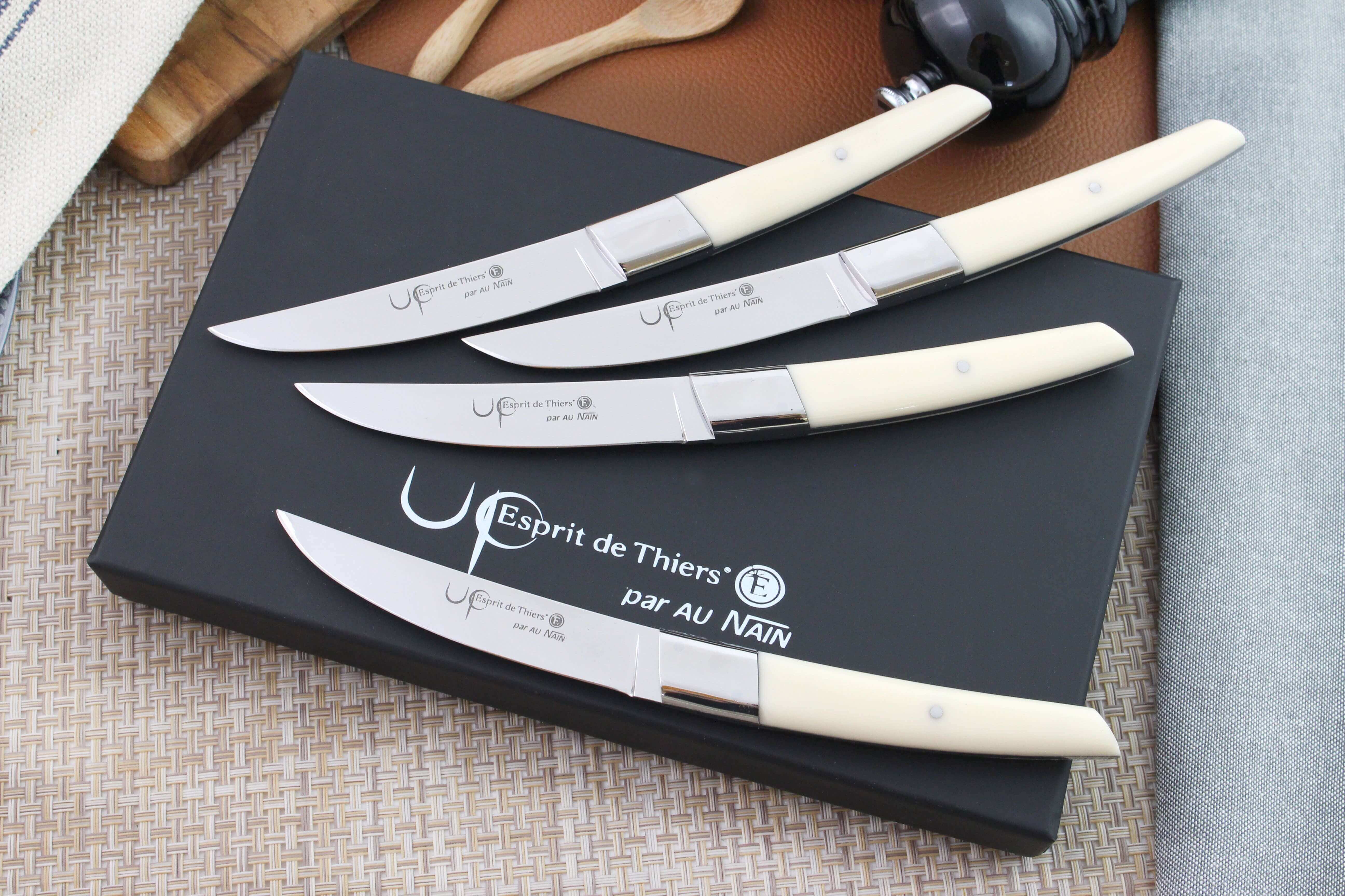 Coffret de 4 couteaux de table 22 cm - Auzier La Boutique Officielle
