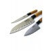 Valise de 11 Couteaux type Japonais Pradel Excellence