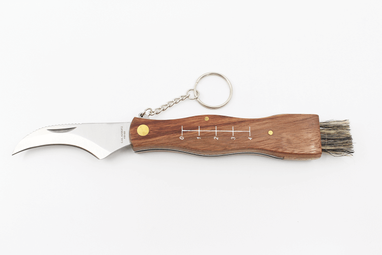 Couteau pliant à champignons Herbertz acier inox 7,3cm avec brosse et étui