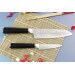 Coffret de 2 couteaux Wusaki Hayato X50 manches G10 Santoku + Office
