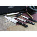 Mallette 5 couteaux de cuisine professionnels Sabatier international Styx POM
