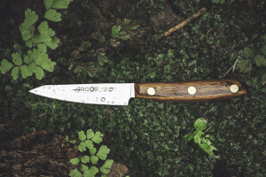 Couteau d'office Arcos Nórdika lame 10cm