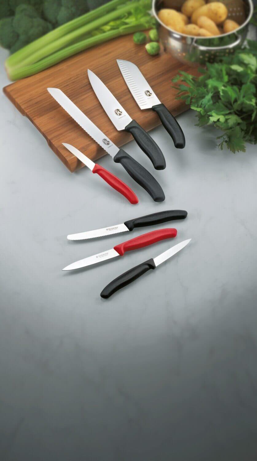 Couteau d'office Swiss Classic 8cm de Victorinox - Ares Accessoires de  cuisine