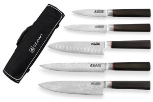 Mallette de 5 couteaux de cuisine Wusaki Ebony VG10 manches en ébène