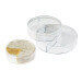 Boîte à camembert La Bonne Graine Ø11cm