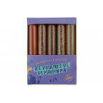 Coffret 5 mini tubes d'épices Le Monde en Tube Mes p'tites épices les poudres de perlinpinpin
