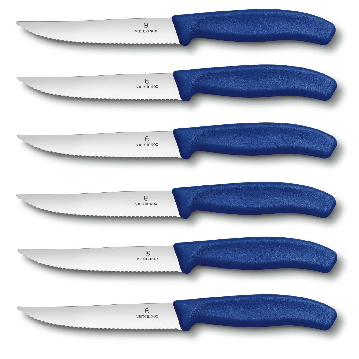 Couteau à huîtres - Bleu | Classic Polypro