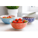 Bol en grès émaillé Kitchen Craft à motif floral gris et rouge