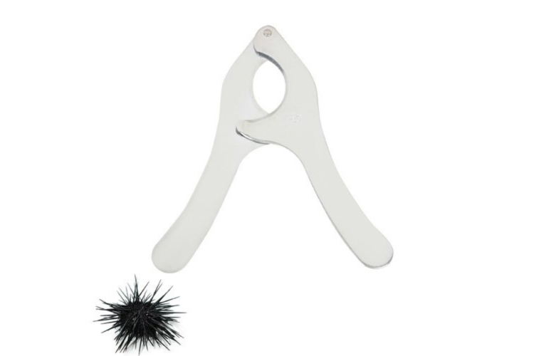 Coupe oursin Chevalier Diffusion en acier inox