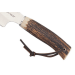 Couteau Muela Raccoon 9232 lame 8cm en inox manche en bois de cerf + étui en cuir