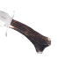 Couteau Muela Bear 9250 lame en inox 24cm manche en bois cerf + étui en cuir