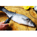 Couteau Marttiini Fish Cleaner 175019 lame 10cm manche caoutchouc + étui