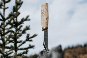 Couteau Marttiini Arctic 535010 lame carbone 9cm manche en bouleau madré + étui