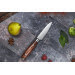 Coffret 3 couteaux Sayuto Pakka X50 Chef + Universel + Office