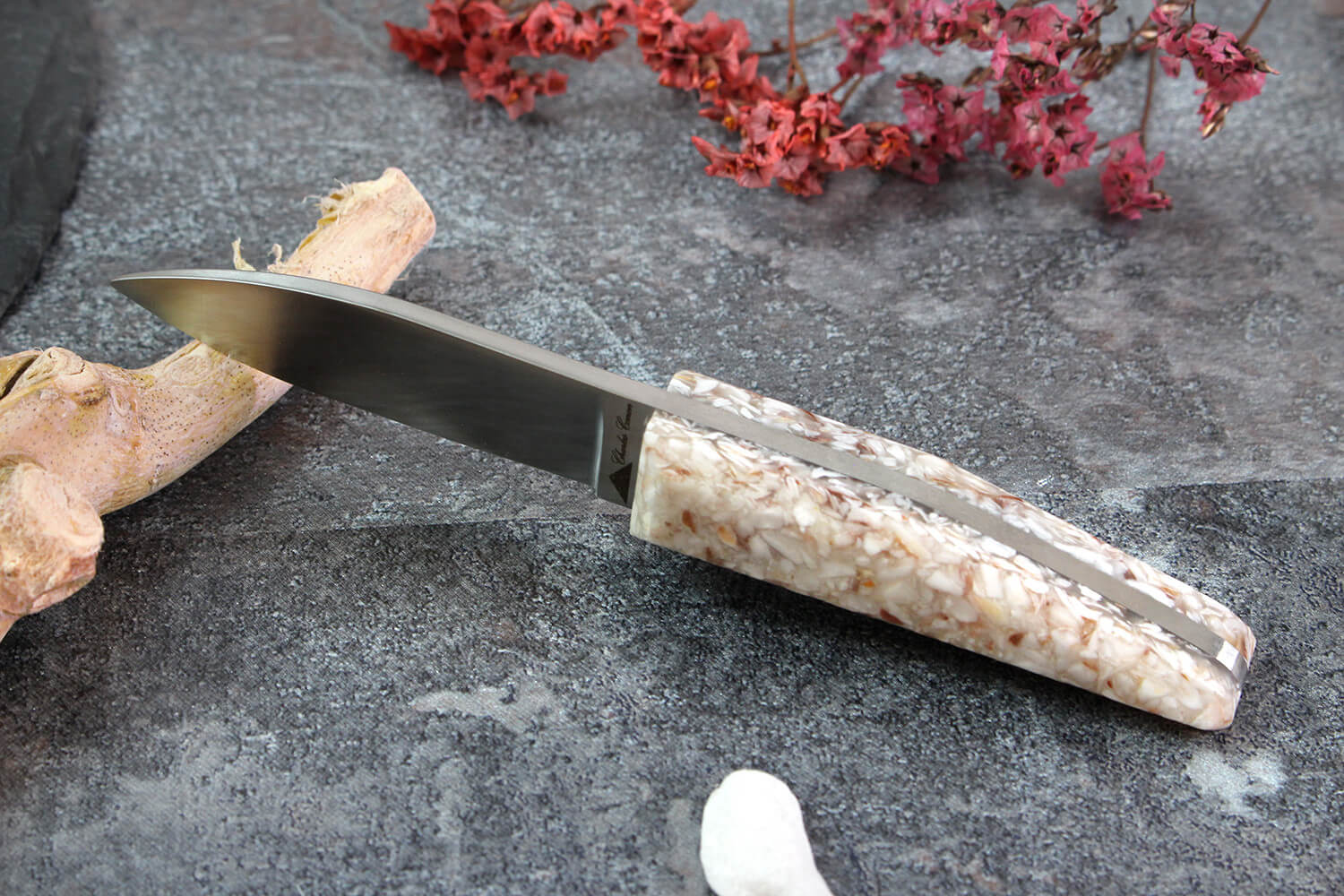 Le Tellier - Couteau Huître Manche en Bois - Les Secrets du Chef